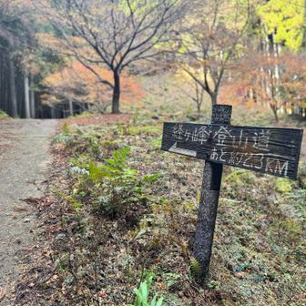 ぼちぼち登山口