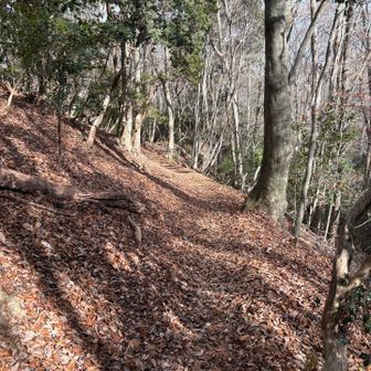 ポンポン向かいます