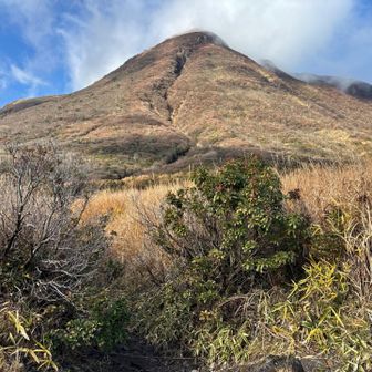 よろしくお願いします！