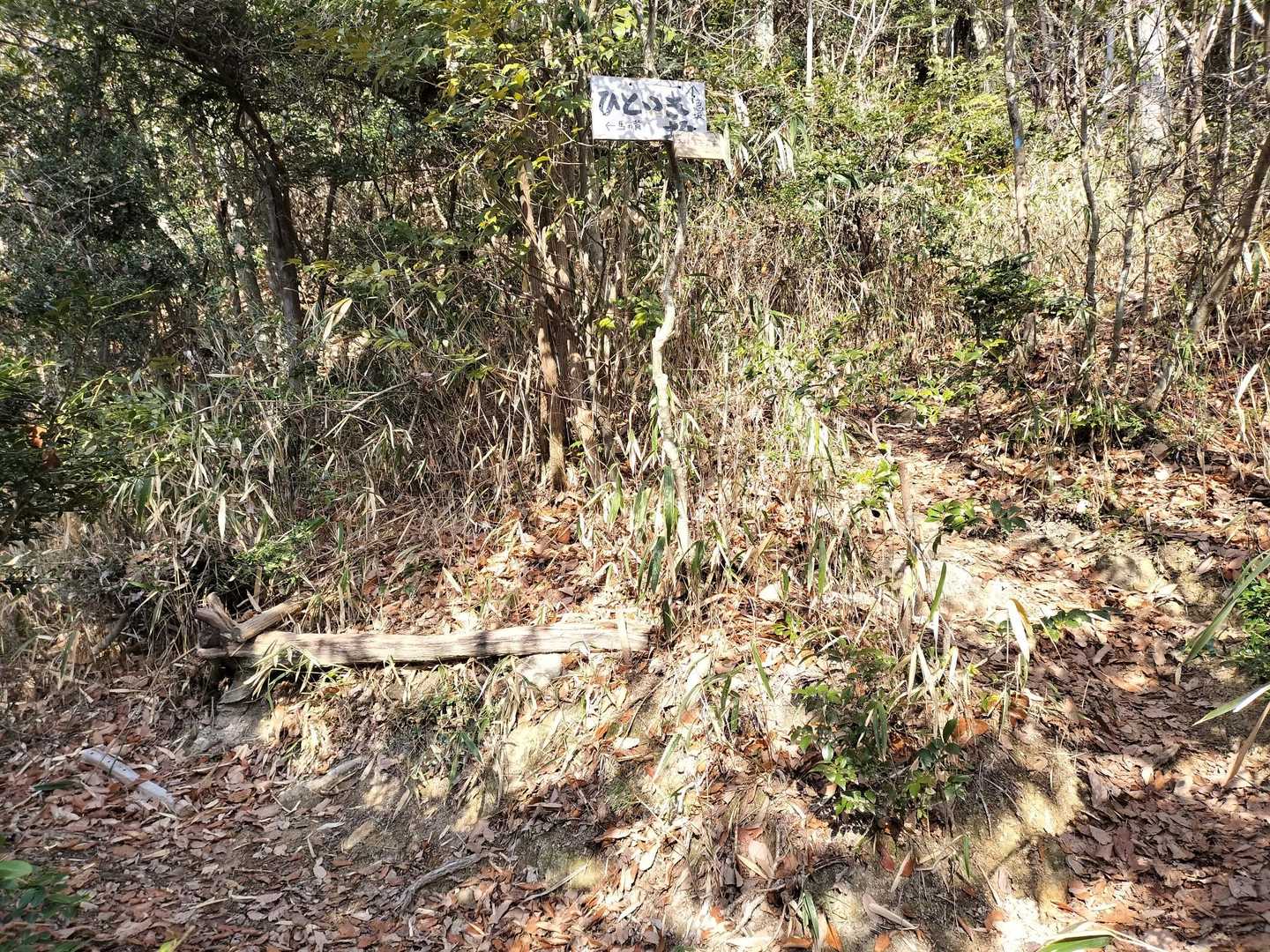 ひといき坂