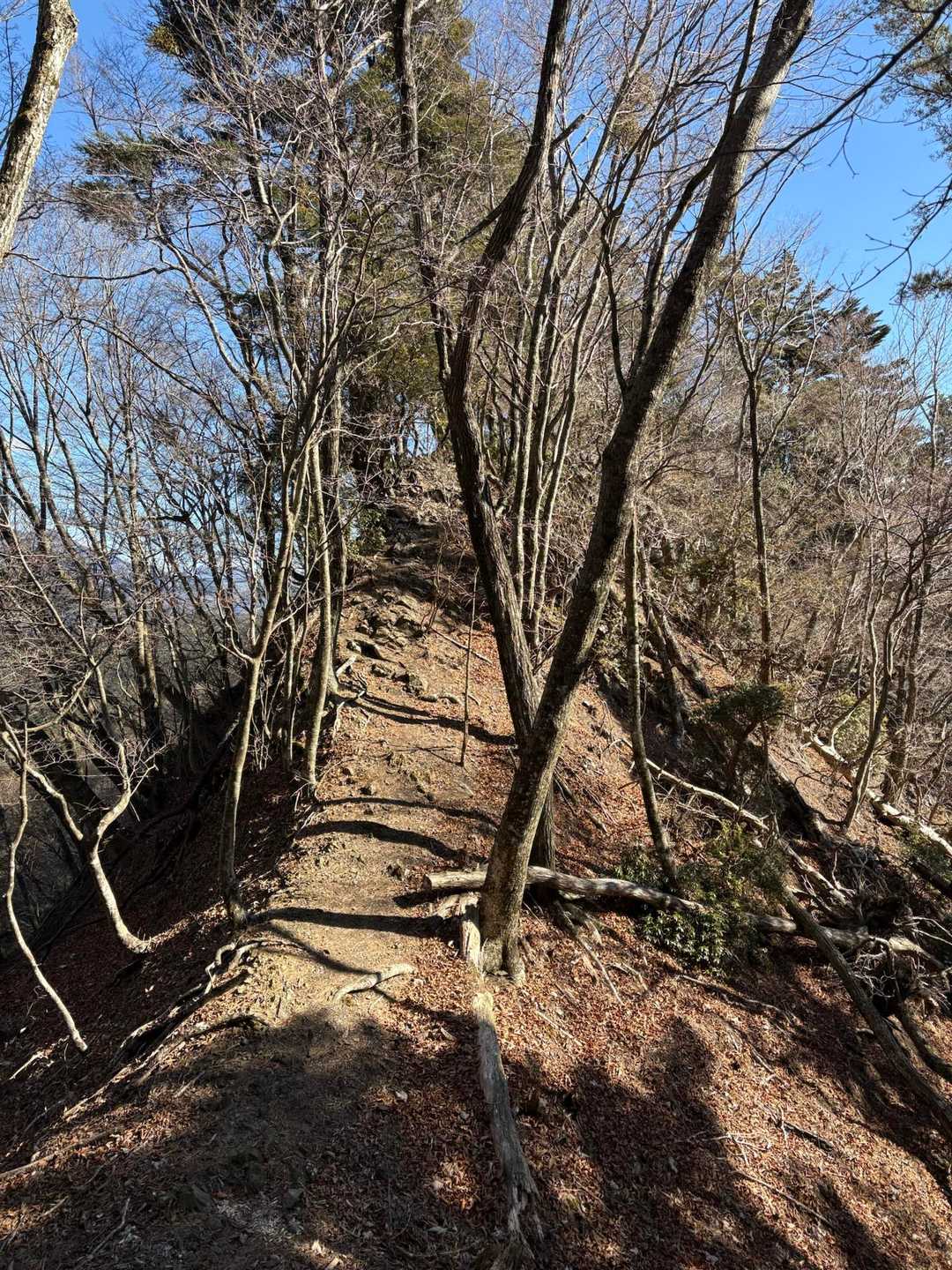 本栖湖観光案内所バス停-城山登山口-青木ヶ原自然歩道入口 縦走コースの写真