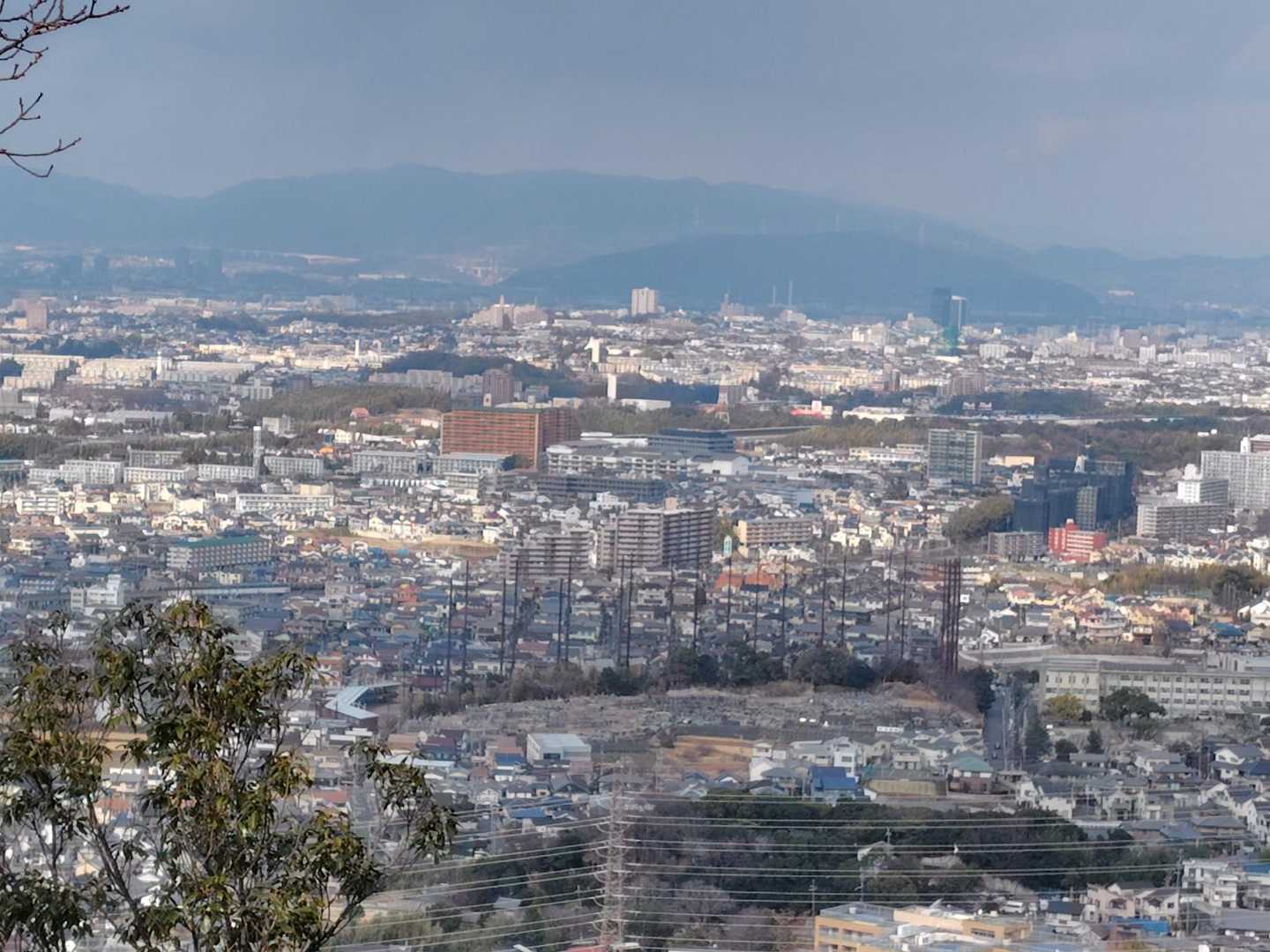 登って振り返った風景