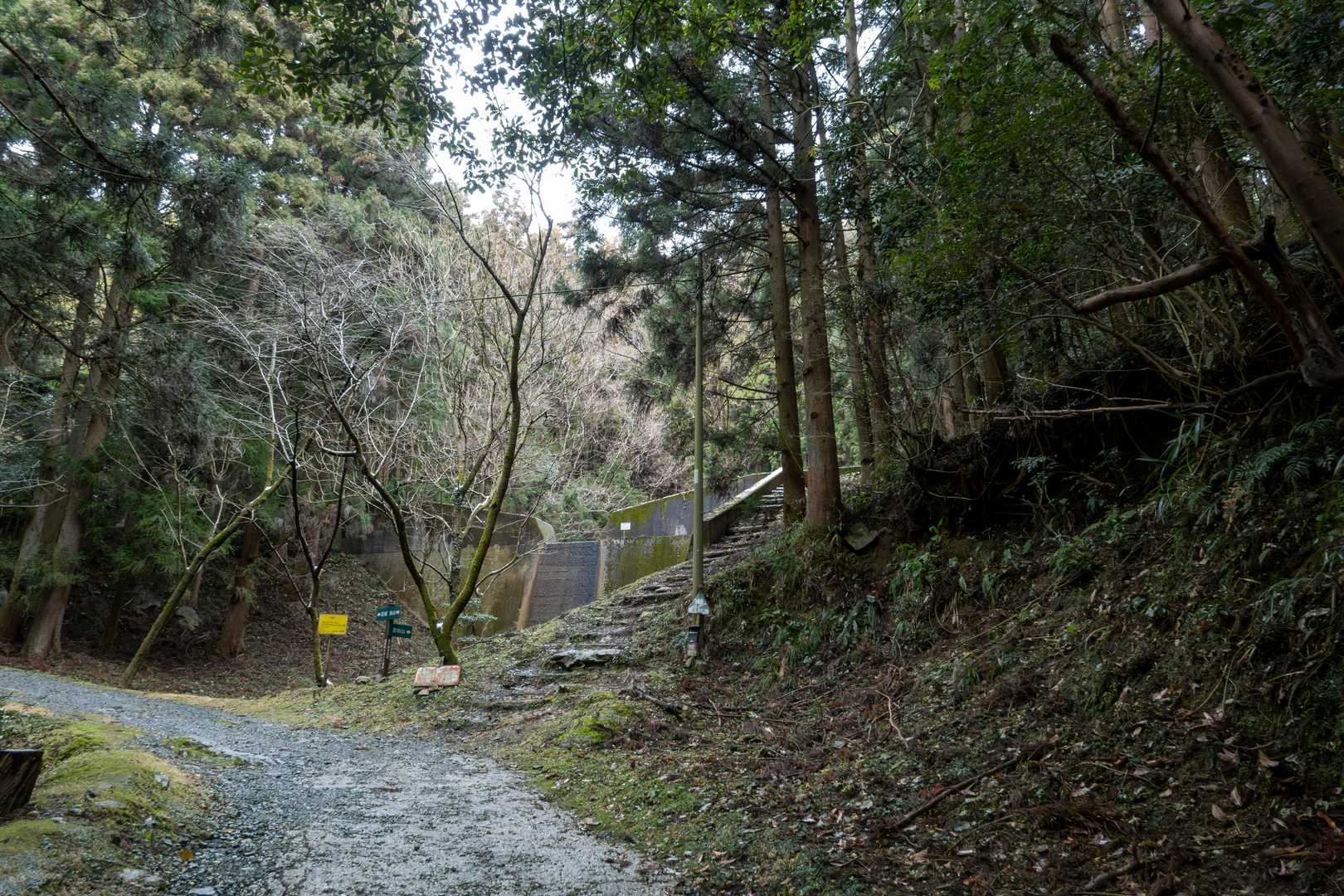林道から分岐して若杉山へ
砂防ダムのところにわずかに雪が残っていました
