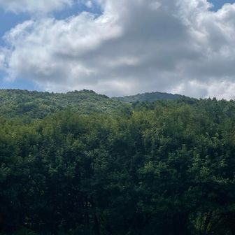 向こうのやまが、臥龍山のよう