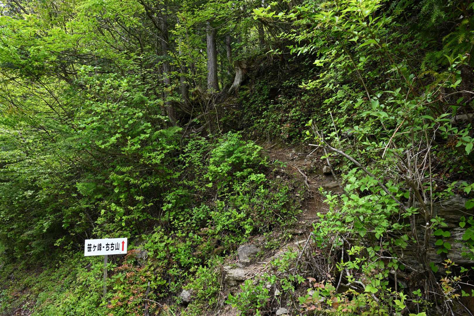 無事下山
最後までご覧いただきありがとうございました
