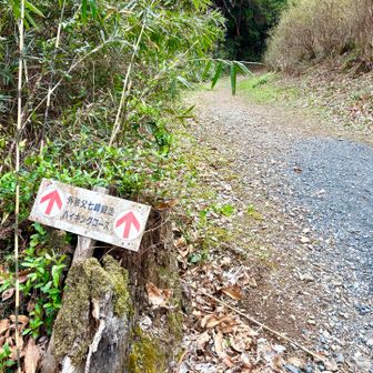 今日は、そちら(外秩父七峰縦走コース)には
行きませ〜ん🙅‍♂️