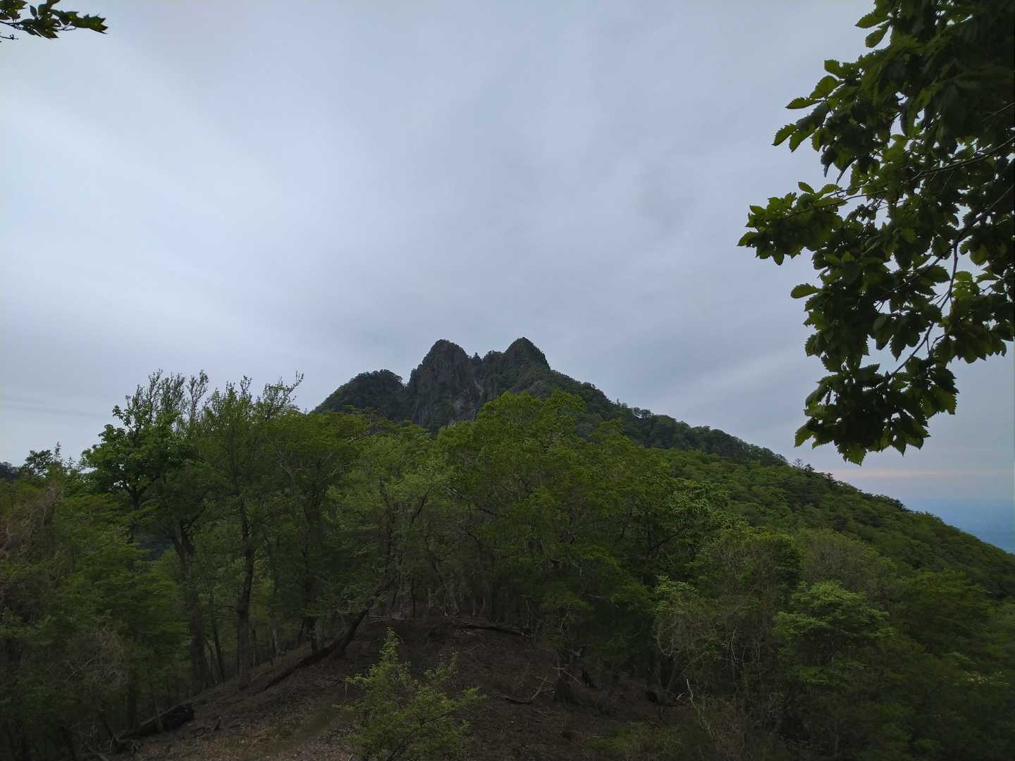 しっかり姿を表したラスボス傾山⛰️
なんか雨じゃない
地面に落ちてコロコロ弾けちょる
あられ⁉️