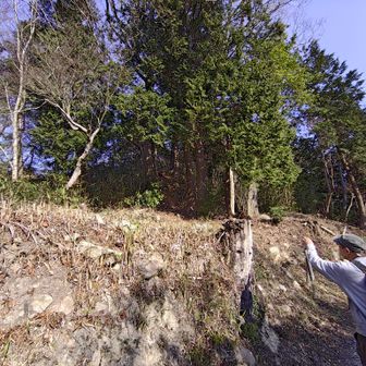 降りてきました。中井先生は何を撮っているのかしら。