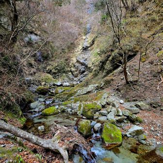 下りも沢沿い