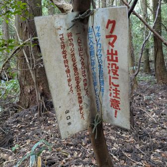 無事に山の出口まで下りてきました
今回は大丈夫だったであります