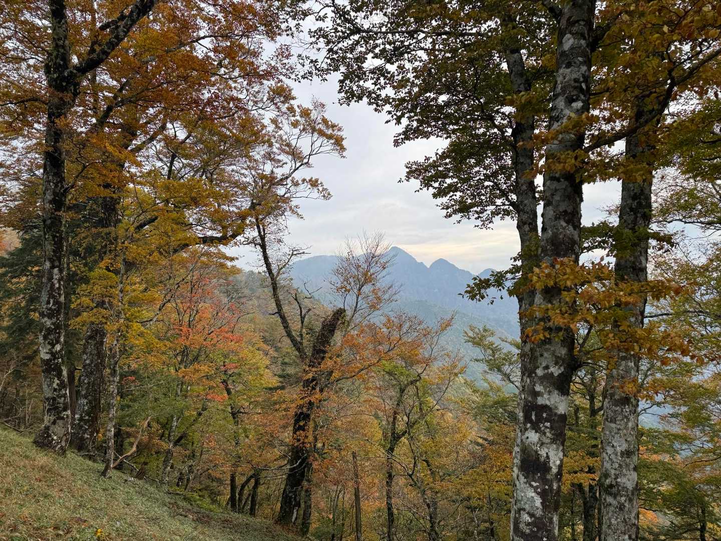遠くはチョット霞んでますが、大菩薩嶺方面の山々が見えます⛰️