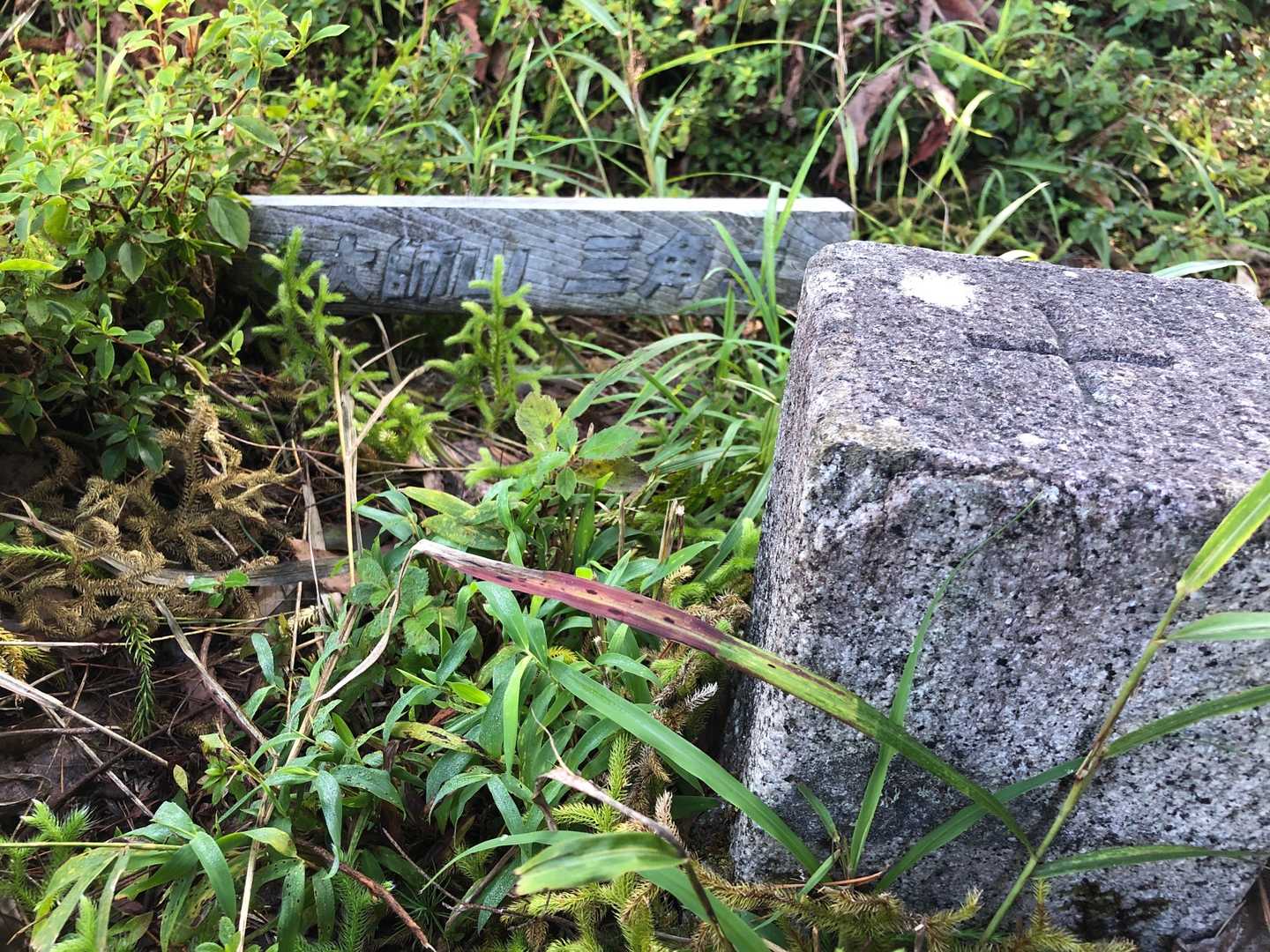 大師山山頂の三角点(2等三角点)