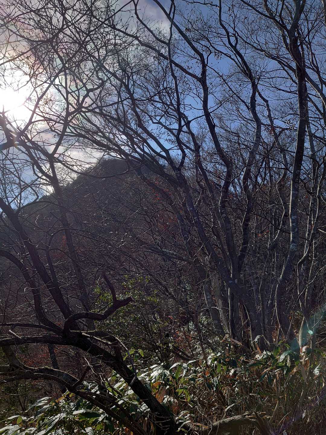 あそこか山頂