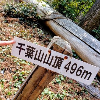 山頂とうちゃこ👐💚
さぁ静母追いかけ下山🏃