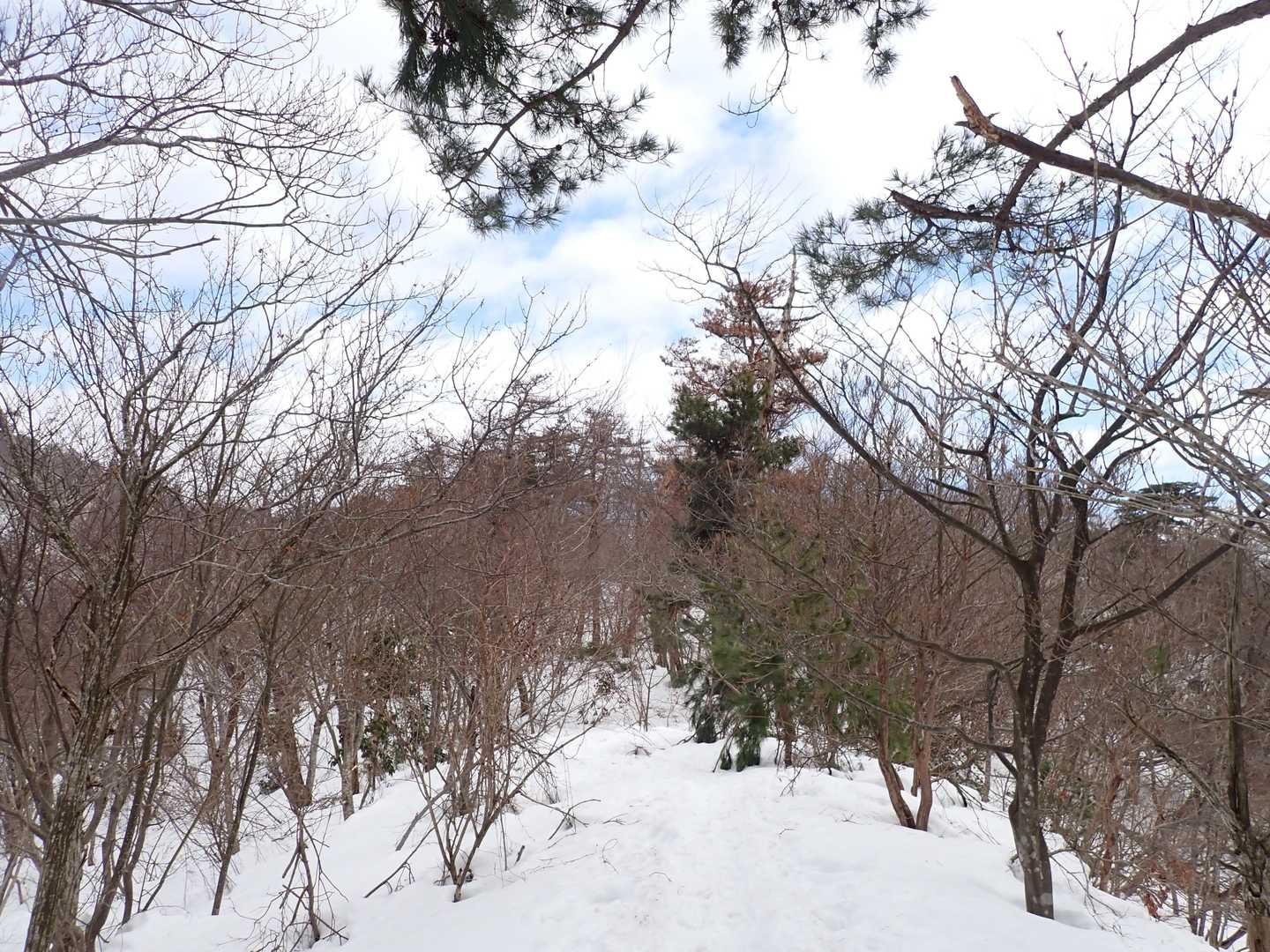 ようは、甘いもの食べすぎなんですよね、自制しようと決めました！(笑)
