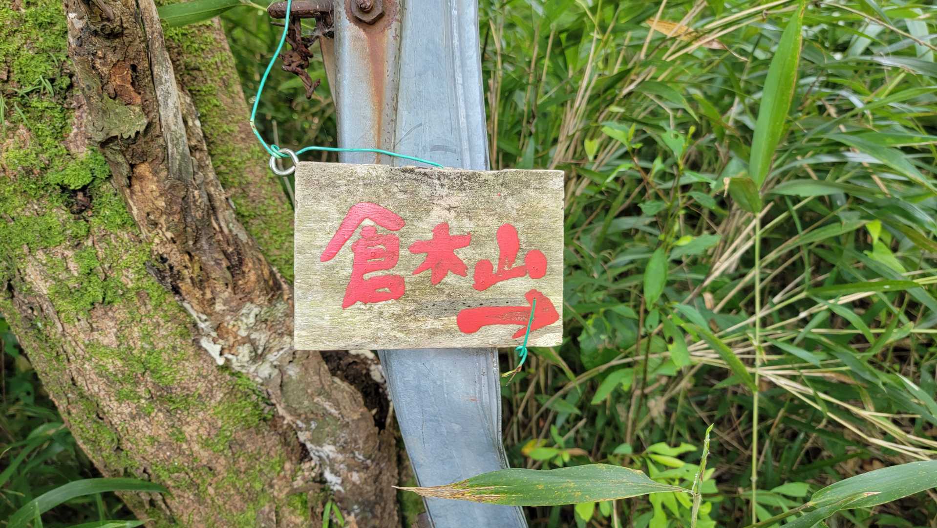 倉木山登山口-倉木山 往復コースの写真