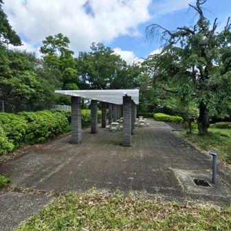つつじ山山頂