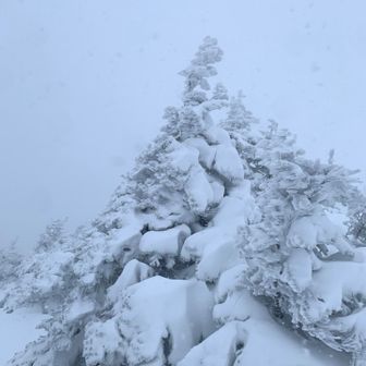 前嶽山頂に到着！
山名板は見つけられず💦