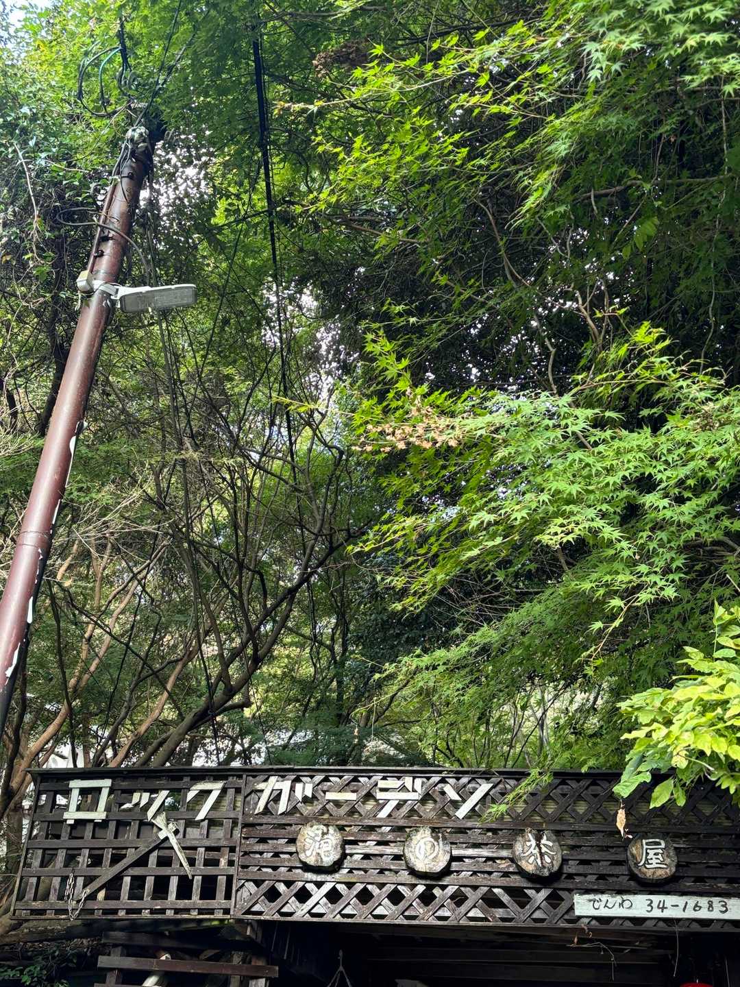 お久しぶりに
ロックガーデンから🐾^ ^

今夜はテント泊🏕️のため
その前に
えぼしさん🐈だけあいに
いきましょう☺️💨