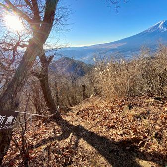 新倉山への分岐点も絶景でした