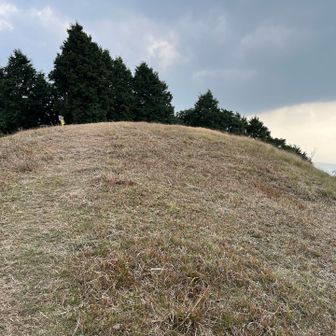 頭ってだけある。まんまる。