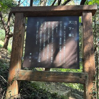 天下峯山頂まであとチョット