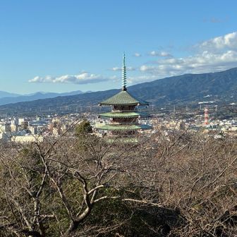 富士山バックに五重の塔！手前に桜の木もあるので咲いたら良いでしょうね〜