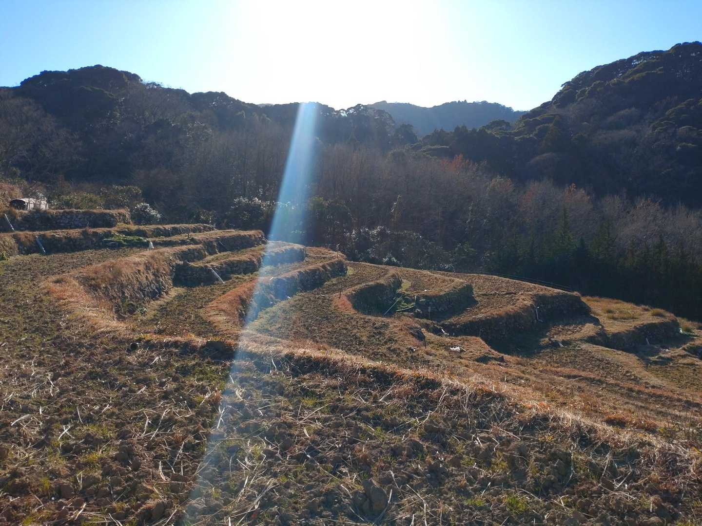 雲見〜千貫門〜高通山〜石部の棚田 周遊コースの写真