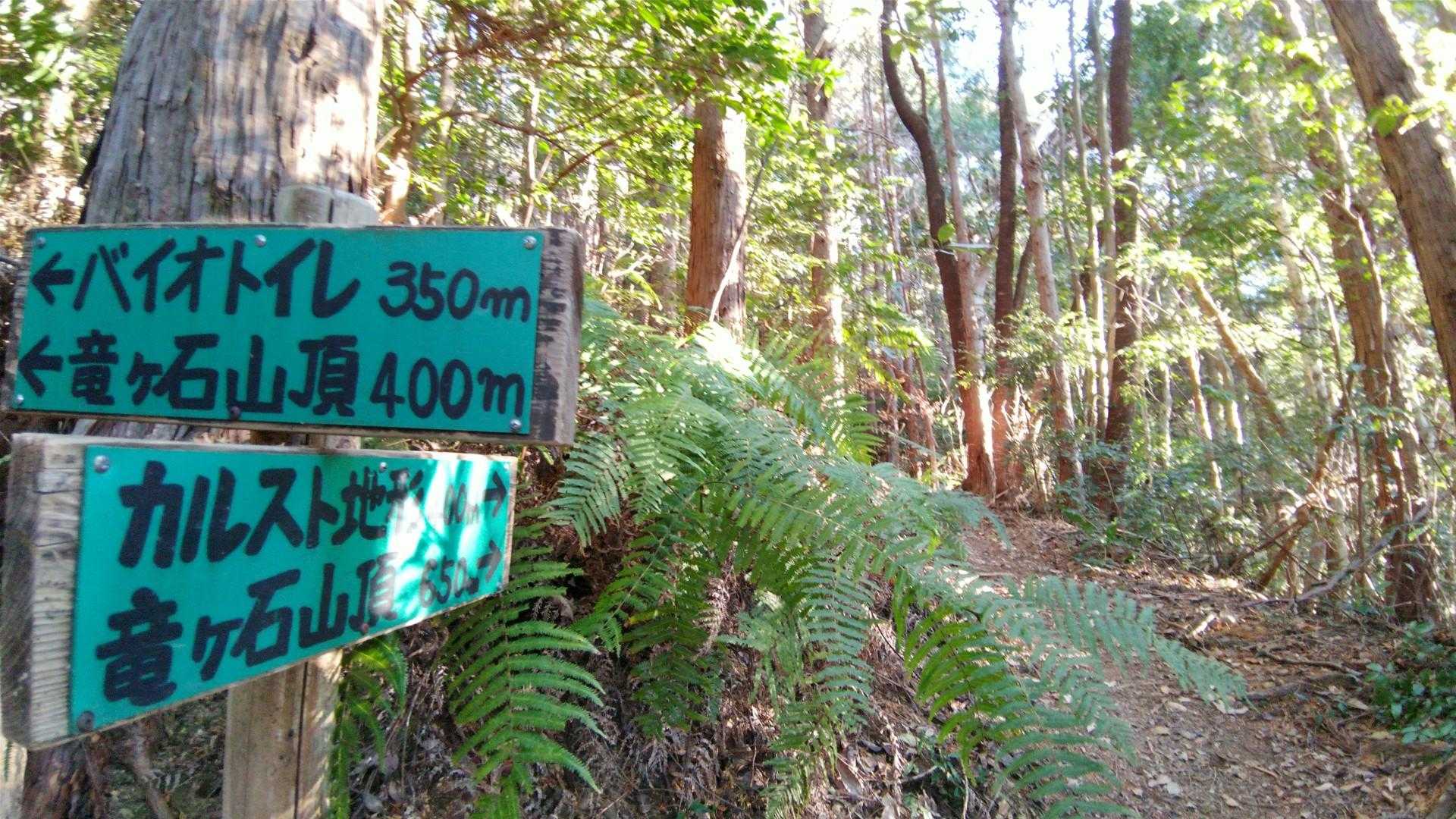 カルスト地形400m