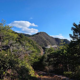 かなり帰ってきた