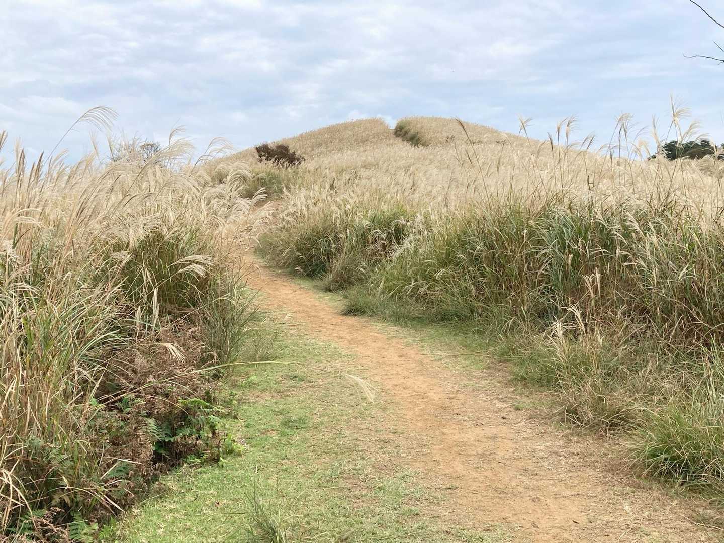 るり渓深山ハイキングコース入口-深山 周回コースの写真