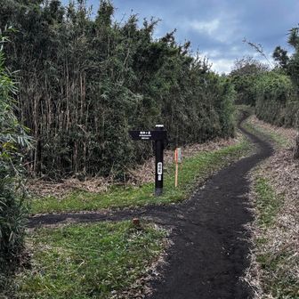 ここで金時山との別れ道
左に曲がるよ