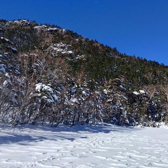 七ツ池から見上げる北横岳