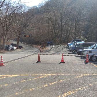 皆さん、檜洞丸の方に行ったのかな？