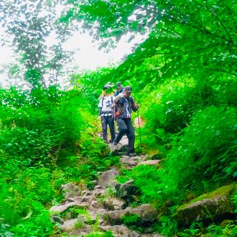 下山は軽やかに