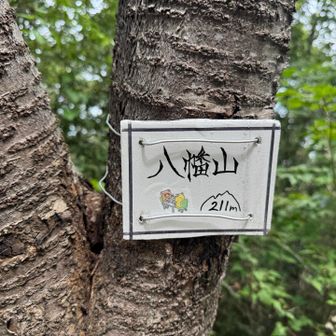 八幡山山頂