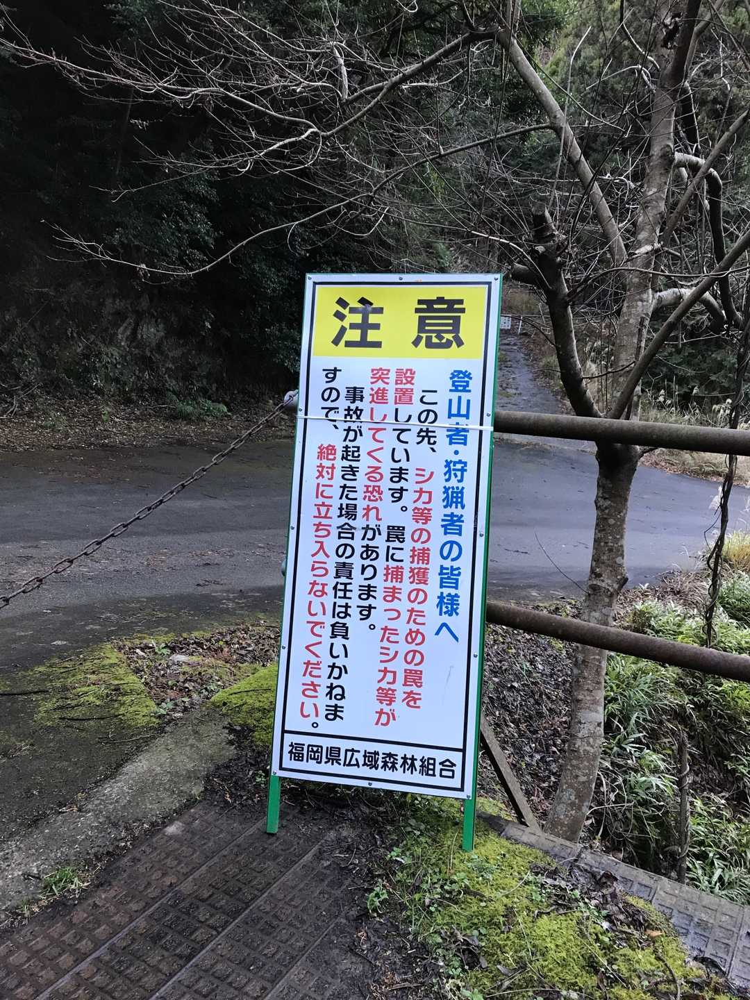 この日、鹿🦌には会わなかった。