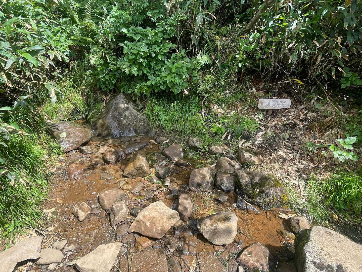 ちょうど疲れた頃に湧き水ポイント✨
めちゃくちゃ冷たくて気持ちいい😆
顔洗って手拭い絞って生き返りました！