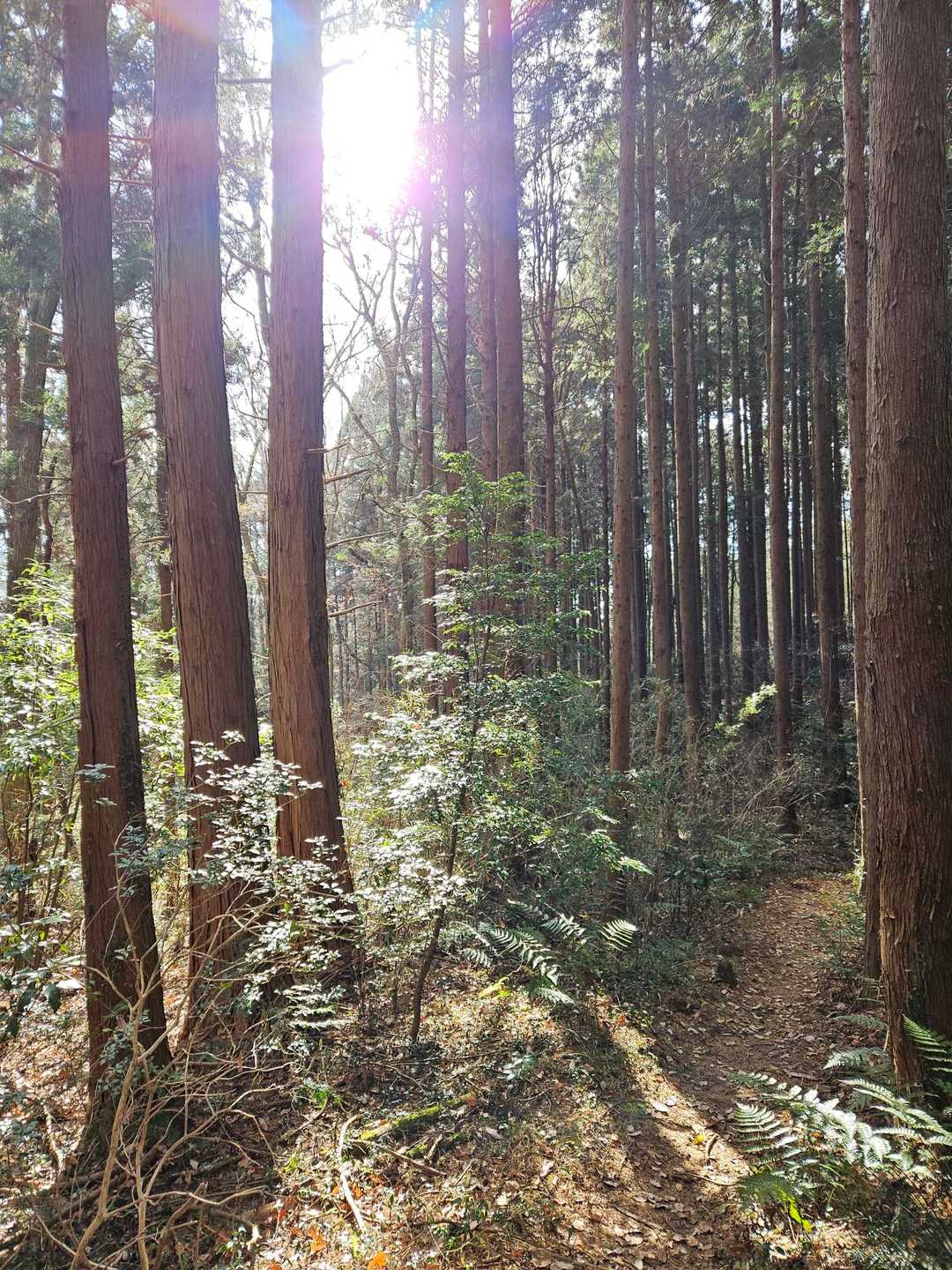こんな感じ,好き💕