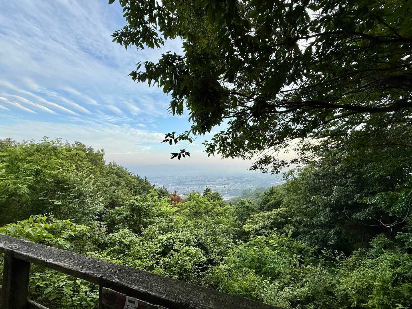 国見山 往復コースの写真