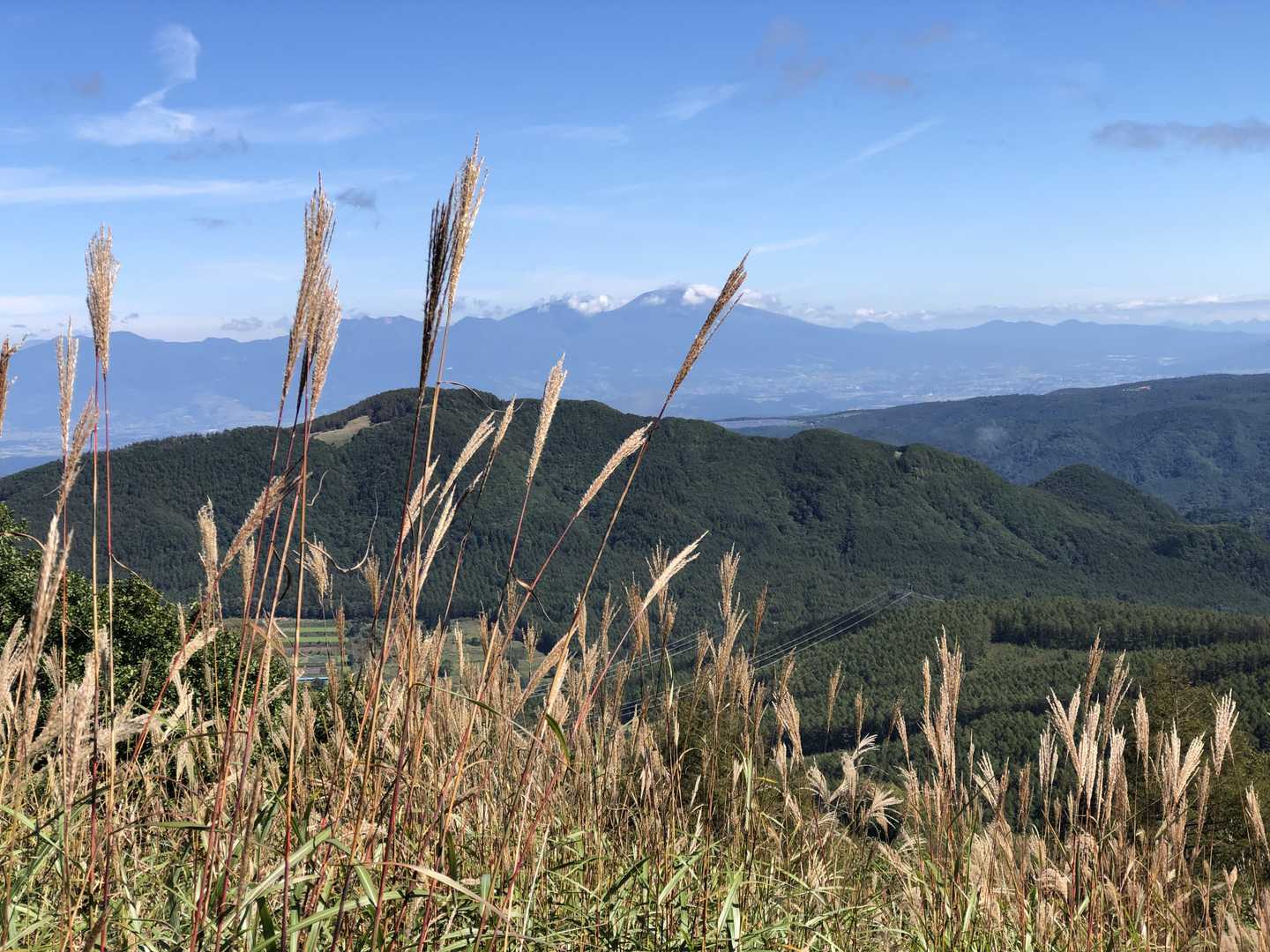 大笹峰-南の耳-殿城山 周回コースの写真
