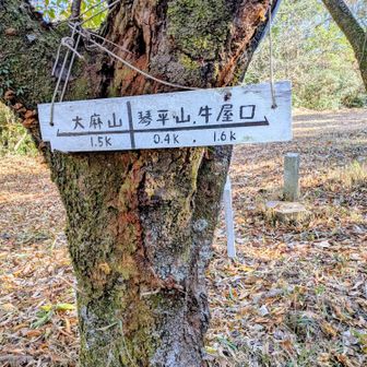 ありがたい道標もあり、草を刈られたばかりだそうで、良い時に来たようでした😀