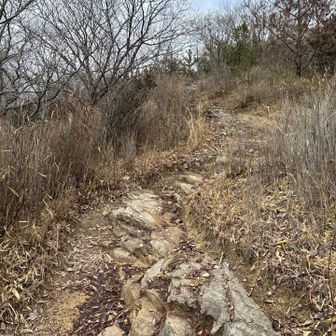 地面から突き出す岩に何度も足をぶつける😣