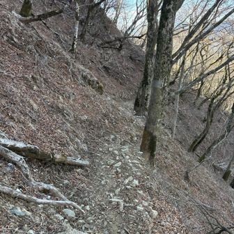 ここから政次郎尾根で大倉まで戻ります
このルートはお初です♪
どんな道かな⁉️楽しみ😊