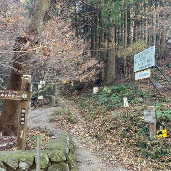 ここが大霧山への登山口です。熊も出るみたいです。
