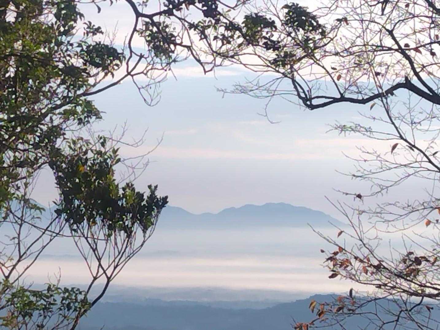 木々の隙間から少しだけ雲海を見られました✨