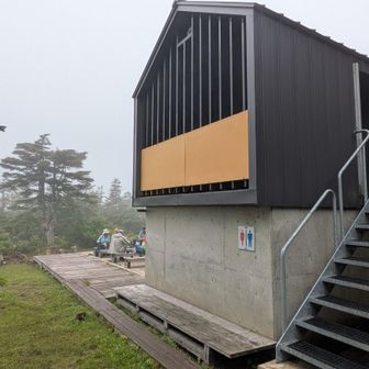 トイレ、きれいですね
