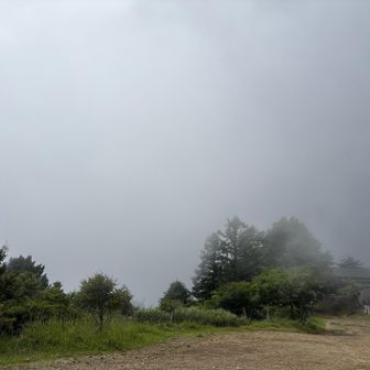 富士山方面は真っ白🤍？