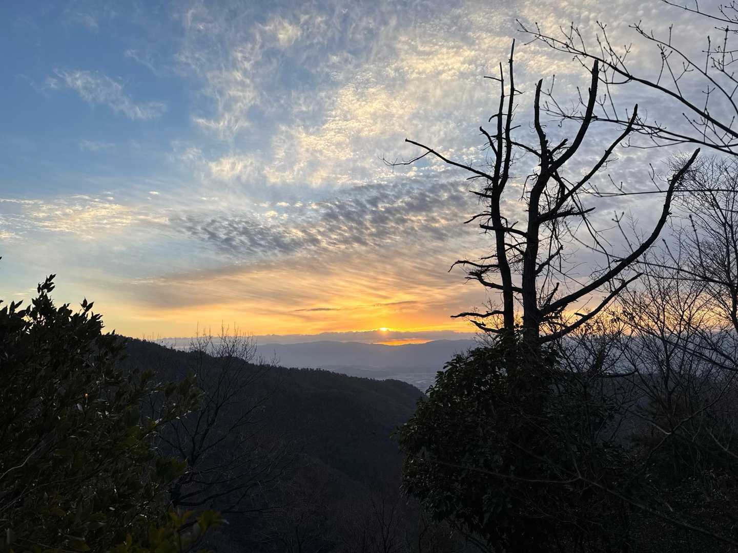 2025🌅