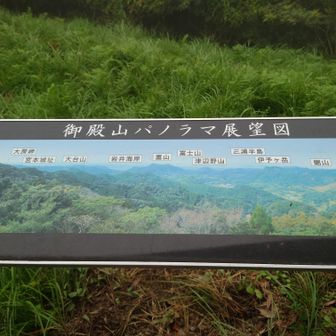 御殿山　景色無し